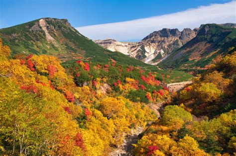 北海道 哪個季節最為迷人？探索四季風情万种之魅力